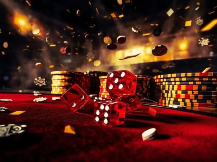 5566 bet login