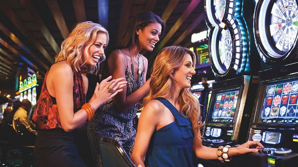 5566 bet login